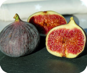 fig picture
