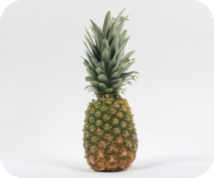 pineapple picture