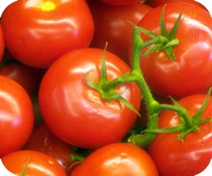 tomato picture