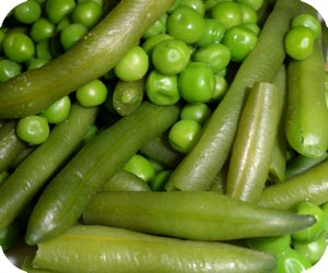 Broad Beans
